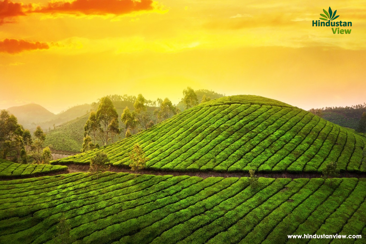 Munnar